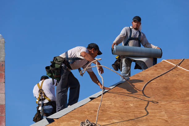Quick and Trustworthy Emergency Roof Repair Services in Lewisburg, TN